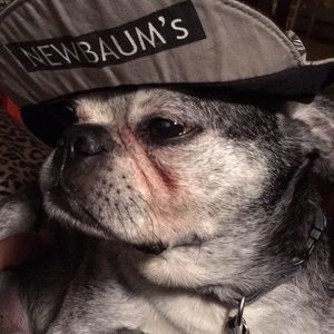 Meet your Posher, Paul